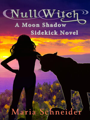 cover image of Null Witch